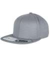 F110 (110)YP020 Fitted Snapback Cap Grey colour image